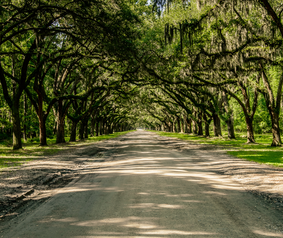 36 Hours In Savannah What To Do, Eat and See Anne Stout