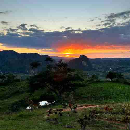 things to do in vinales cuba